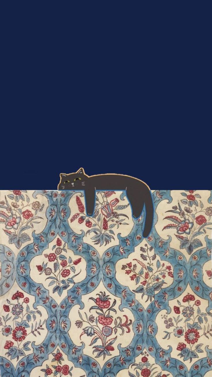 Midnight Nap
