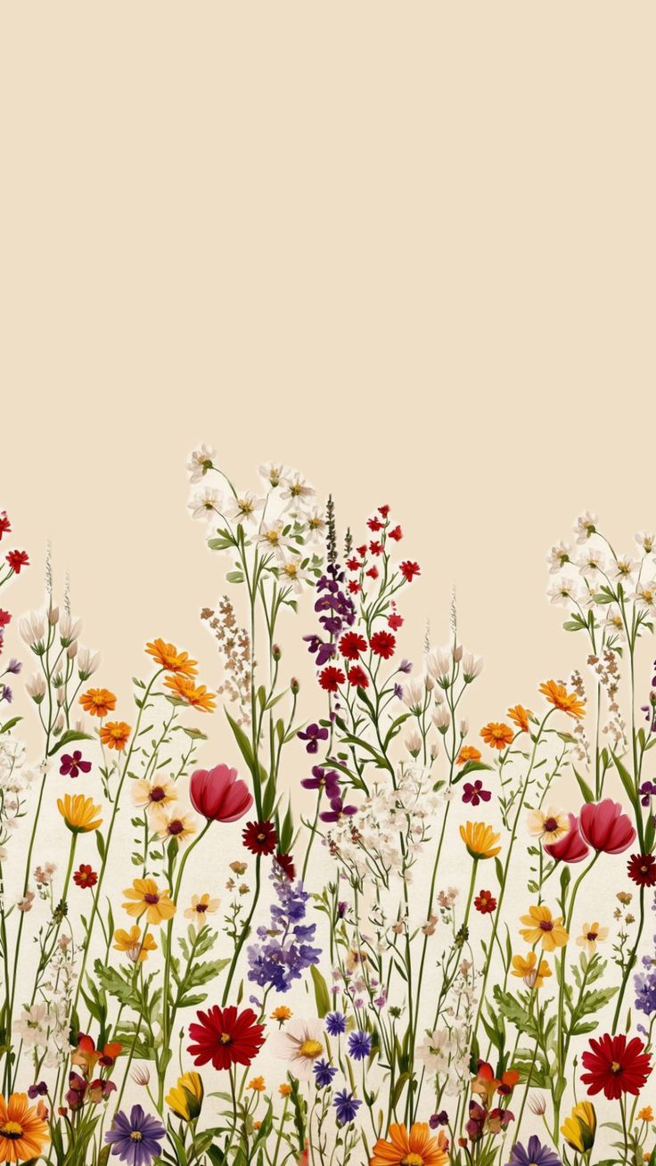 Midsummer Meadow
