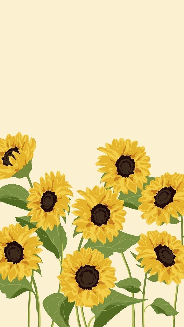 Hello Sunshine