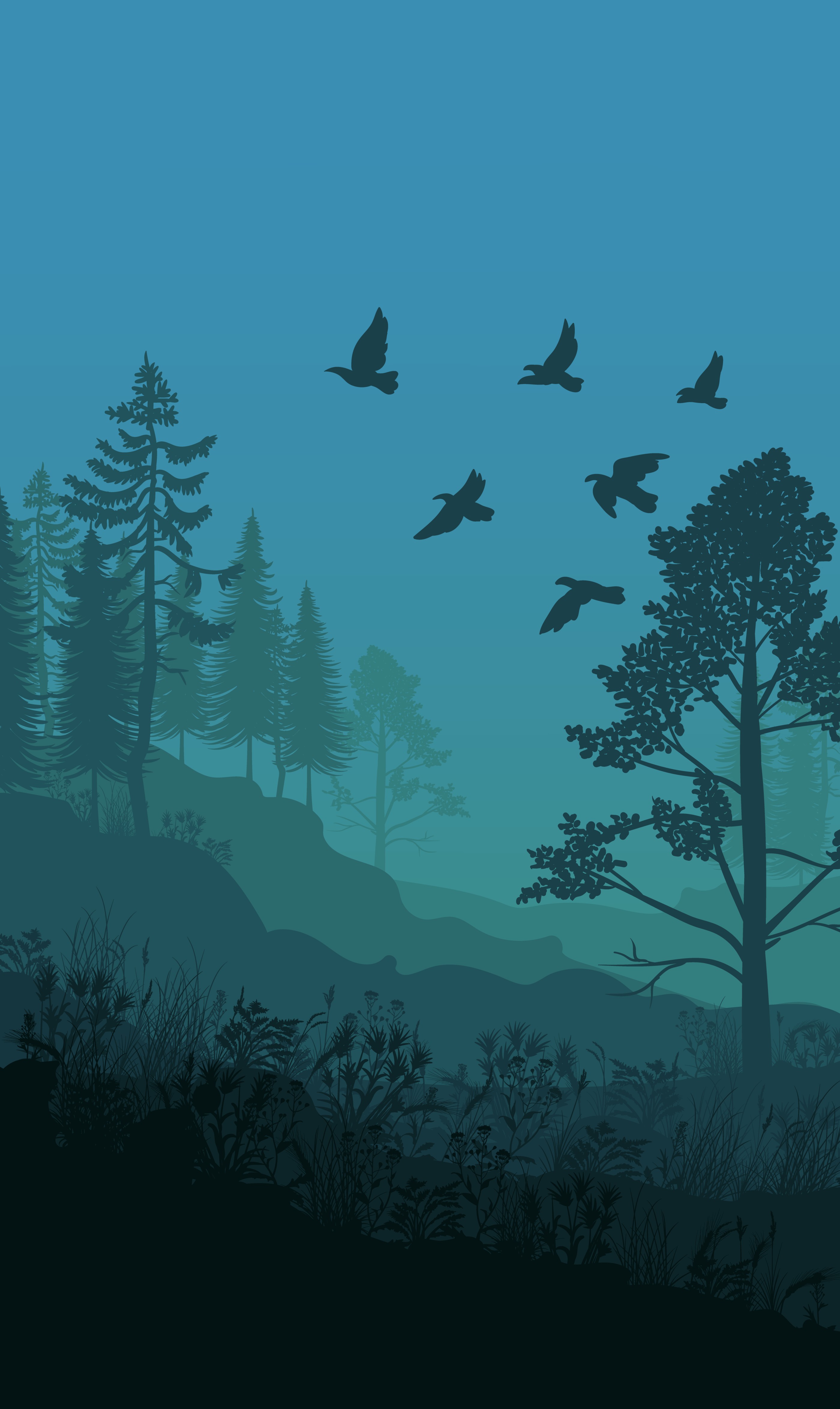 Misty Forest