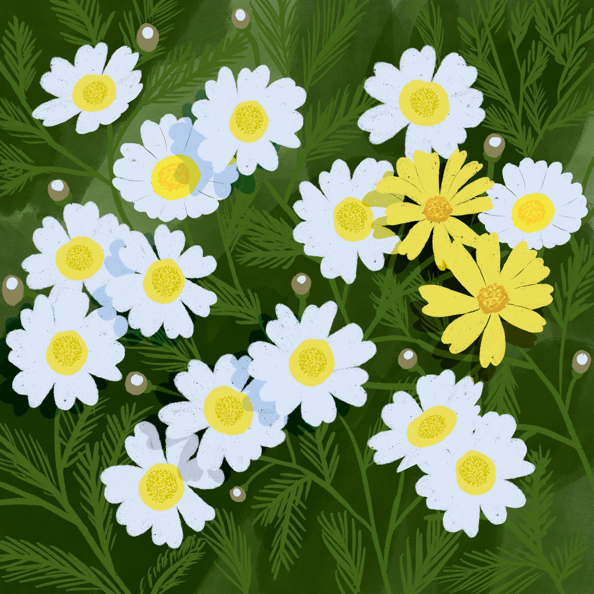 Petal Medley