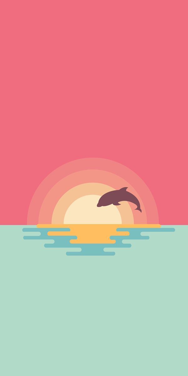 Dolphin Sunset Leap